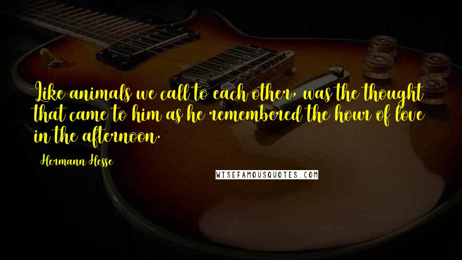 Hermann Hesse Quotes: Like animals we call to each other, was the thought that came to him as he remembered the hour of love in the afternoon.