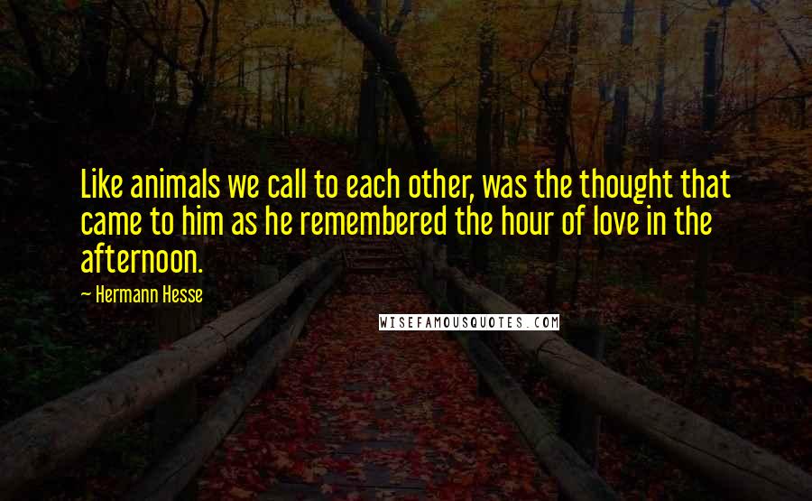 Hermann Hesse Quotes: Like animals we call to each other, was the thought that came to him as he remembered the hour of love in the afternoon.