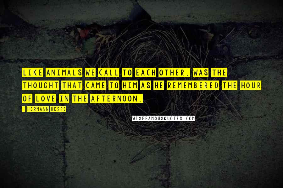 Hermann Hesse Quotes: Like animals we call to each other, was the thought that came to him as he remembered the hour of love in the afternoon.