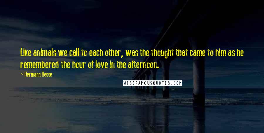 Hermann Hesse Quotes: Like animals we call to each other, was the thought that came to him as he remembered the hour of love in the afternoon.