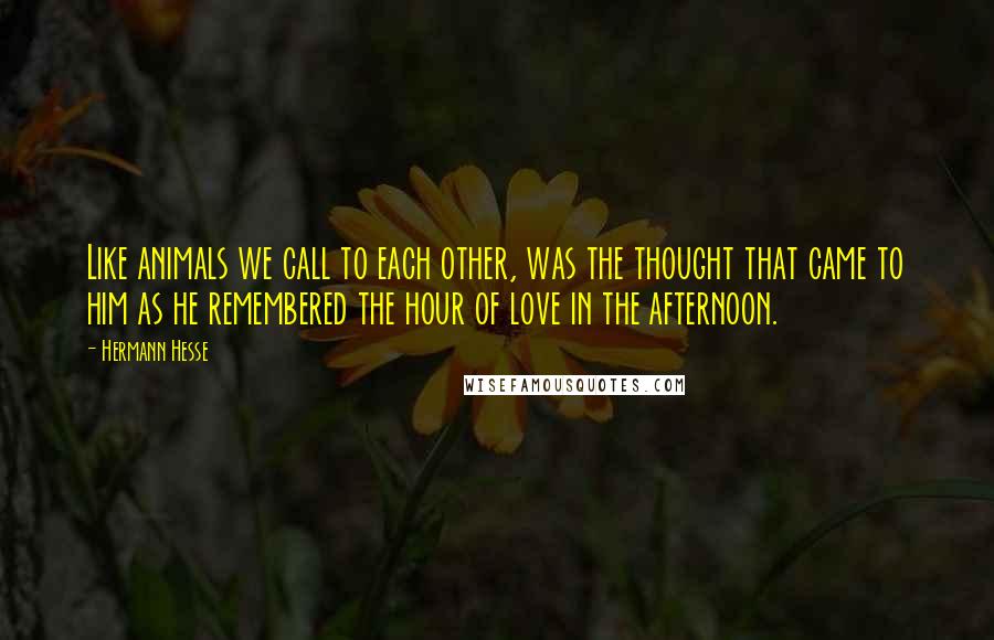 Hermann Hesse Quotes: Like animals we call to each other, was the thought that came to him as he remembered the hour of love in the afternoon.