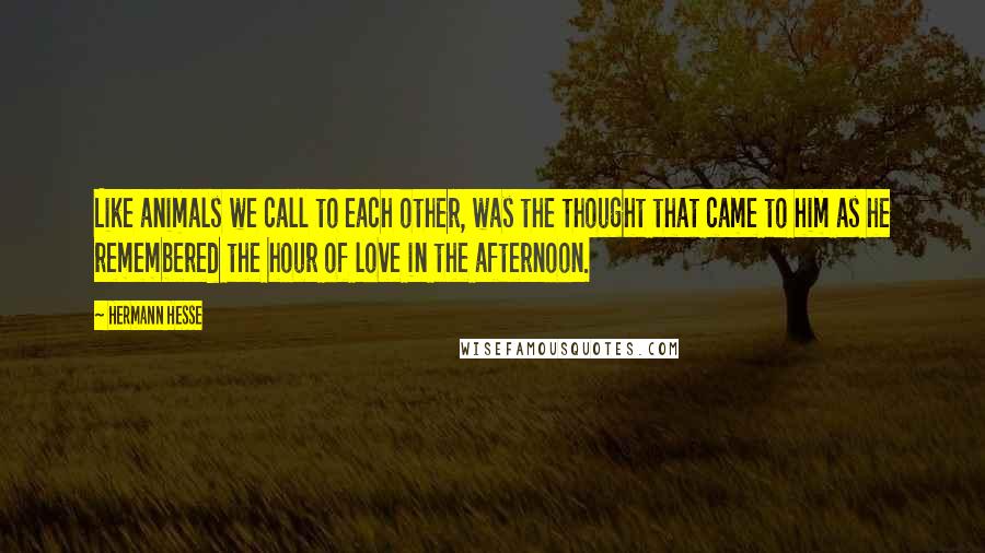 Hermann Hesse Quotes: Like animals we call to each other, was the thought that came to him as he remembered the hour of love in the afternoon.