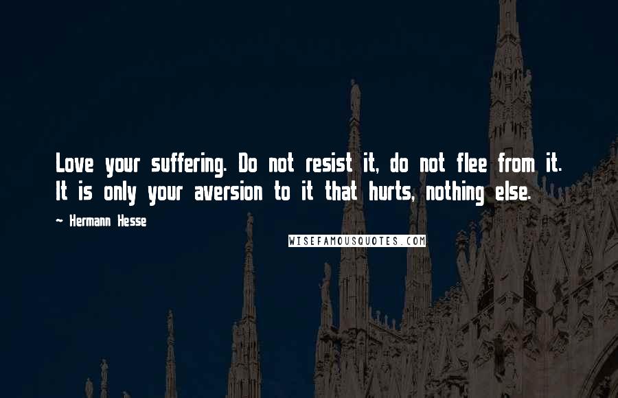 Hermann Hesse Quotes: Love your suffering. Do not resist it, do not flee from it. It is only your aversion to it that hurts, nothing else.