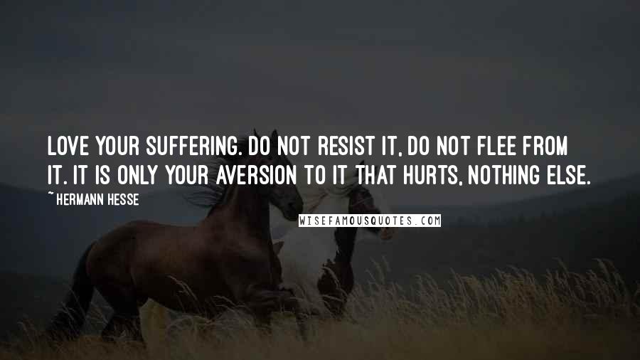 Hermann Hesse Quotes: Love your suffering. Do not resist it, do not flee from it. It is only your aversion to it that hurts, nothing else.