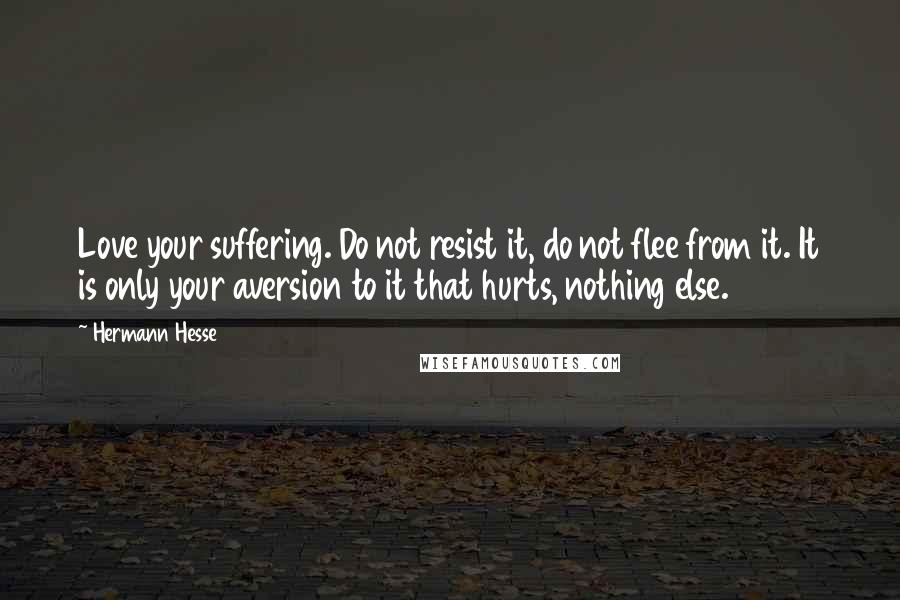 Hermann Hesse Quotes: Love your suffering. Do not resist it, do not flee from it. It is only your aversion to it that hurts, nothing else.