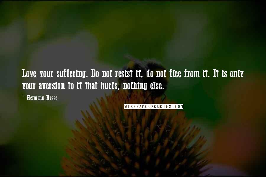 Hermann Hesse Quotes: Love your suffering. Do not resist it, do not flee from it. It is only your aversion to it that hurts, nothing else.