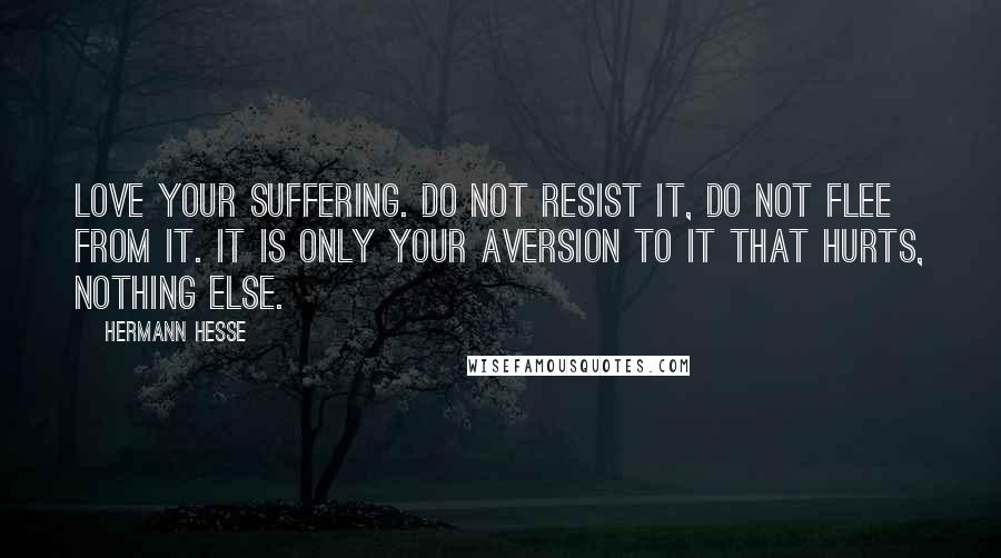 Hermann Hesse Quotes: Love your suffering. Do not resist it, do not flee from it. It is only your aversion to it that hurts, nothing else.