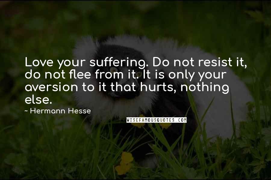 Hermann Hesse Quotes: Love your suffering. Do not resist it, do not flee from it. It is only your aversion to it that hurts, nothing else.