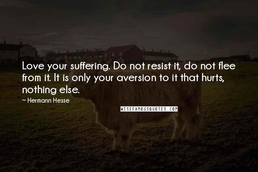 Hermann Hesse Quotes: Love your suffering. Do not resist it, do not flee from it. It is only your aversion to it that hurts, nothing else.