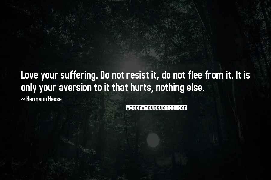 Hermann Hesse Quotes: Love your suffering. Do not resist it, do not flee from it. It is only your aversion to it that hurts, nothing else.