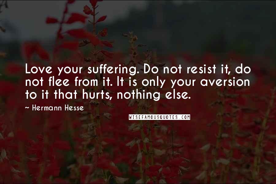 Hermann Hesse Quotes: Love your suffering. Do not resist it, do not flee from it. It is only your aversion to it that hurts, nothing else.