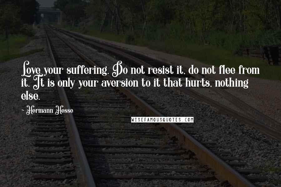 Hermann Hesse Quotes: Love your suffering. Do not resist it, do not flee from it. It is only your aversion to it that hurts, nothing else.