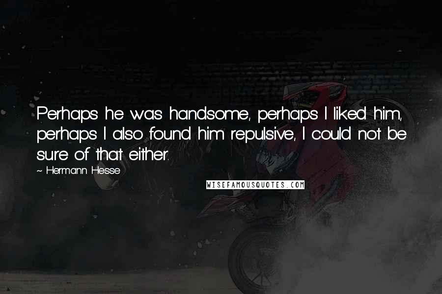 Hermann Hesse Quotes: Perhaps he was handsome, perhaps I liked him, perhaps I also found him repulsive, I could not be sure of that either.