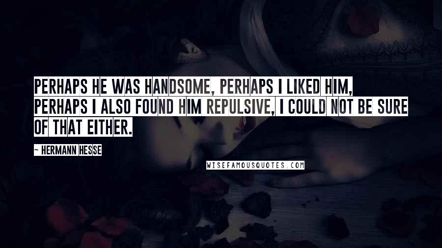 Hermann Hesse Quotes: Perhaps he was handsome, perhaps I liked him, perhaps I also found him repulsive, I could not be sure of that either.