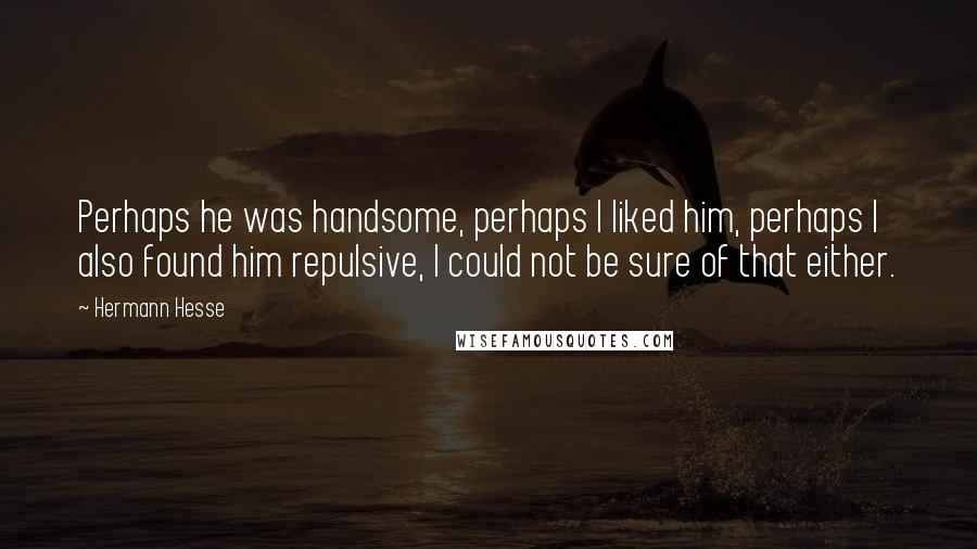 Hermann Hesse Quotes: Perhaps he was handsome, perhaps I liked him, perhaps I also found him repulsive, I could not be sure of that either.