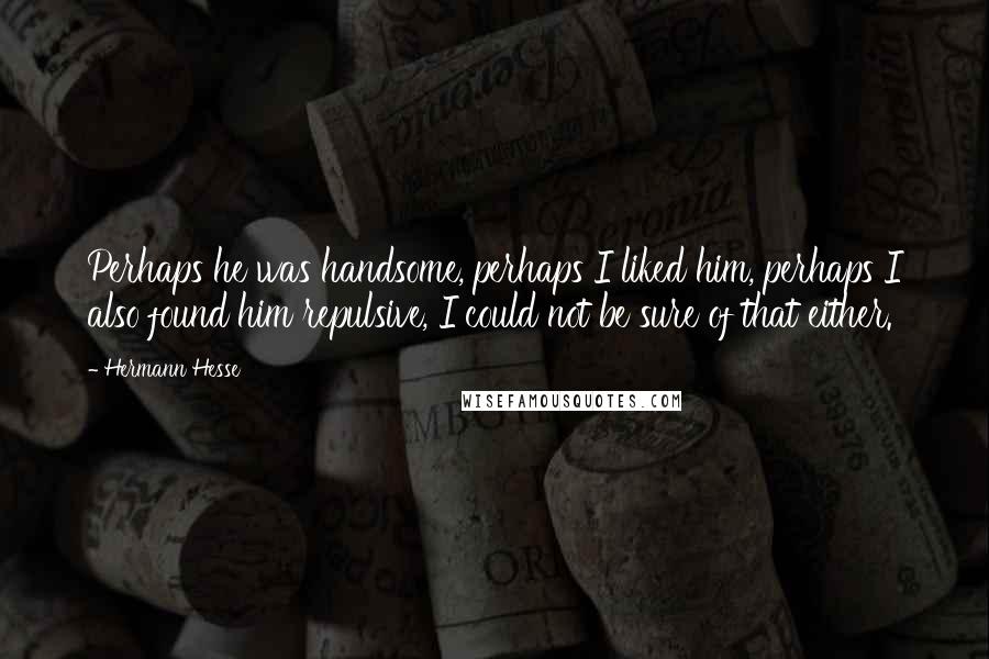 Hermann Hesse Quotes: Perhaps he was handsome, perhaps I liked him, perhaps I also found him repulsive, I could not be sure of that either.