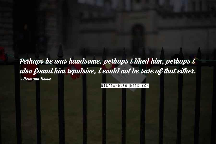 Hermann Hesse Quotes: Perhaps he was handsome, perhaps I liked him, perhaps I also found him repulsive, I could not be sure of that either.