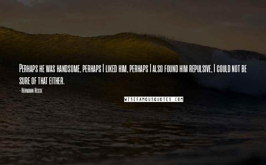 Hermann Hesse Quotes: Perhaps he was handsome, perhaps I liked him, perhaps I also found him repulsive, I could not be sure of that either.