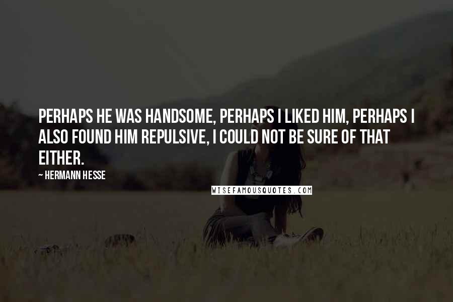 Hermann Hesse Quotes: Perhaps he was handsome, perhaps I liked him, perhaps I also found him repulsive, I could not be sure of that either.