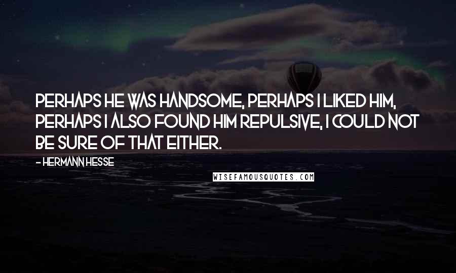 Hermann Hesse Quotes: Perhaps he was handsome, perhaps I liked him, perhaps I also found him repulsive, I could not be sure of that either.