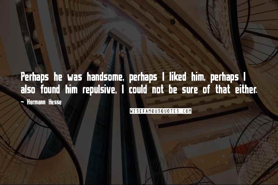 Hermann Hesse Quotes: Perhaps he was handsome, perhaps I liked him, perhaps I also found him repulsive, I could not be sure of that either.