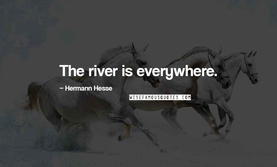 Hermann Hesse Quotes: The river is everywhere.
