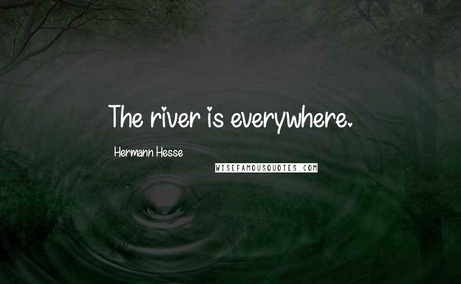 Hermann Hesse Quotes: The river is everywhere.