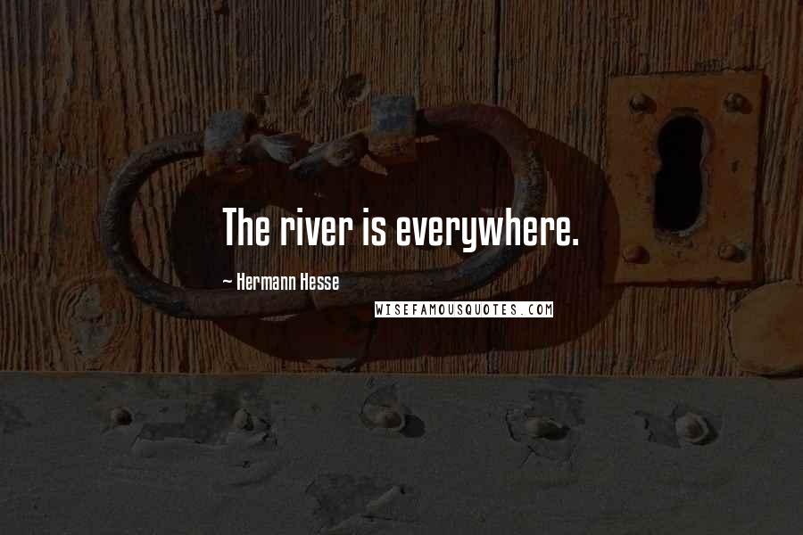 Hermann Hesse Quotes: The river is everywhere.