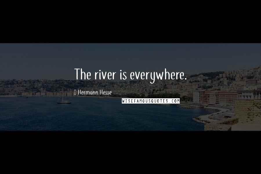 Hermann Hesse Quotes: The river is everywhere.