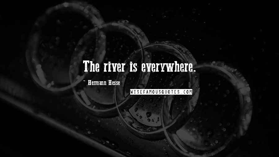 Hermann Hesse Quotes: The river is everywhere.