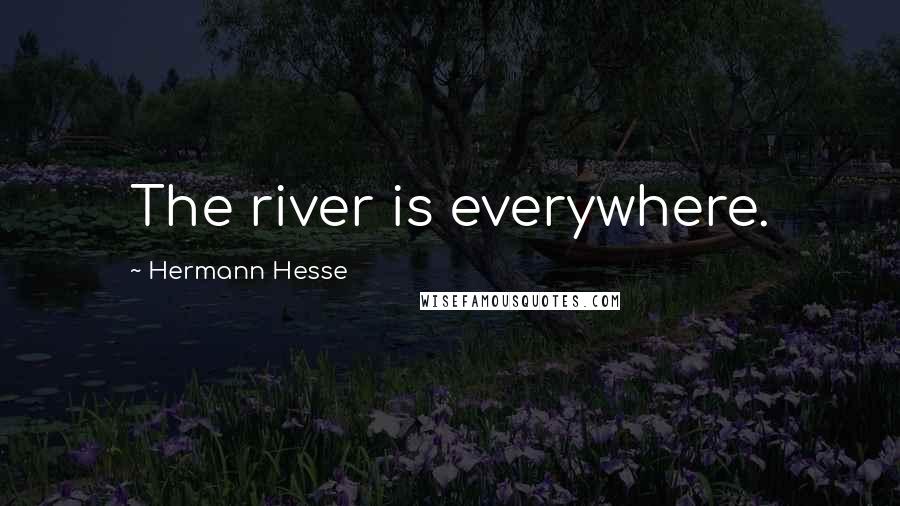 Hermann Hesse Quotes: The river is everywhere.