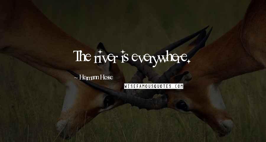 Hermann Hesse Quotes: The river is everywhere.