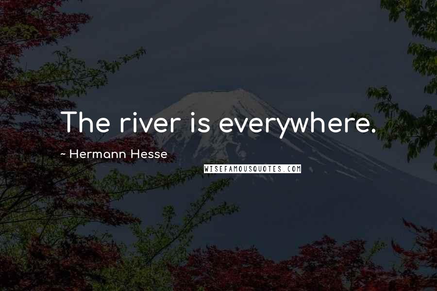 Hermann Hesse Quotes: The river is everywhere.