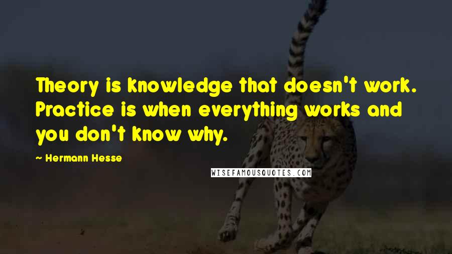 Hermann Hesse Quotes: Theory is knowledge that doesn't work. Practice is when everything works and you don't know why.