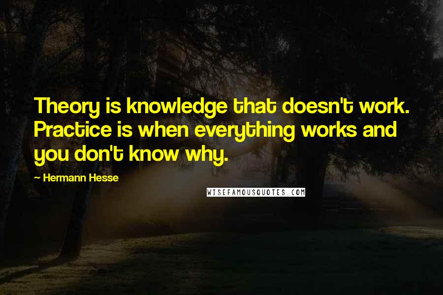 Hermann Hesse Quotes: Theory is knowledge that doesn't work. Practice is when everything works and you don't know why.