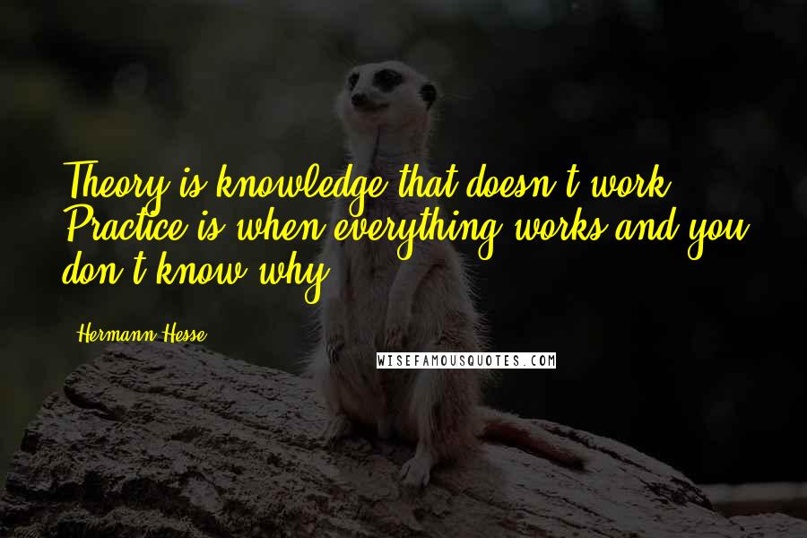 Hermann Hesse Quotes: Theory is knowledge that doesn't work. Practice is when everything works and you don't know why.