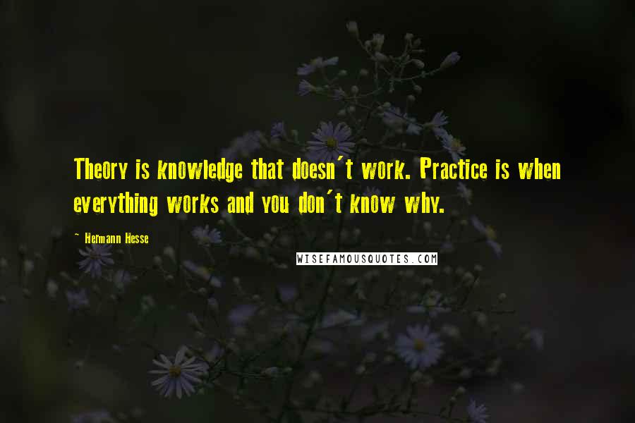 Hermann Hesse Quotes: Theory is knowledge that doesn't work. Practice is when everything works and you don't know why.