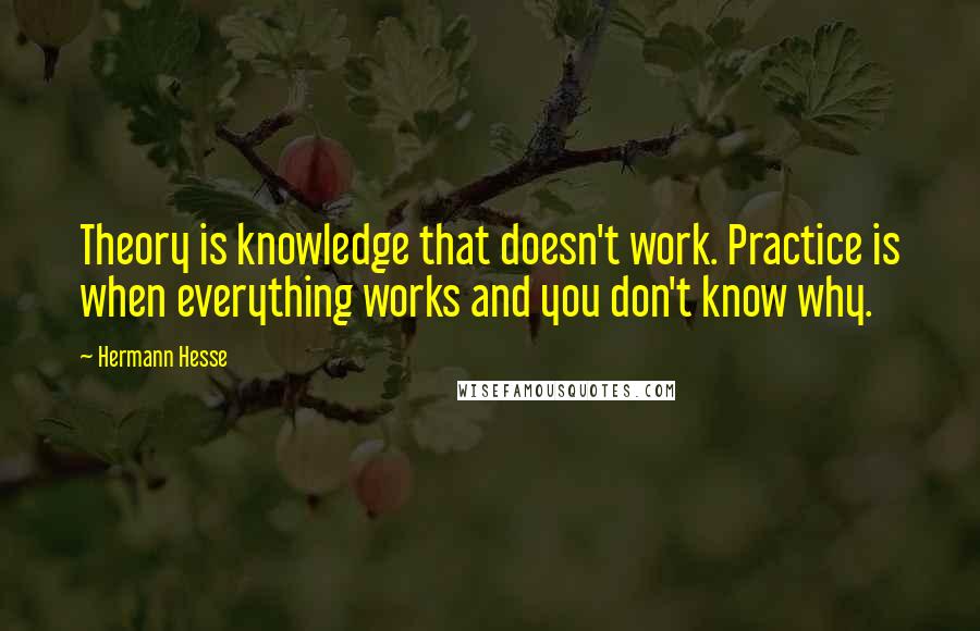 Hermann Hesse Quotes: Theory is knowledge that doesn't work. Practice is when everything works and you don't know why.