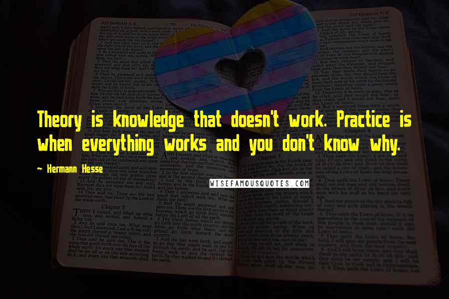 Hermann Hesse Quotes: Theory is knowledge that doesn't work. Practice is when everything works and you don't know why.