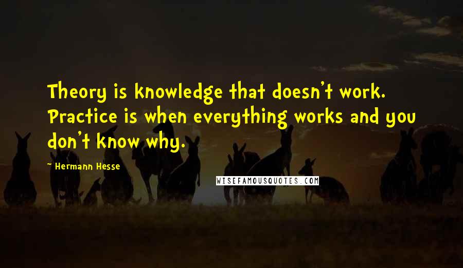 Hermann Hesse Quotes: Theory is knowledge that doesn't work. Practice is when everything works and you don't know why.