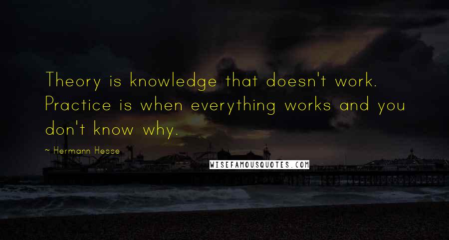 Hermann Hesse Quotes: Theory is knowledge that doesn't work. Practice is when everything works and you don't know why.