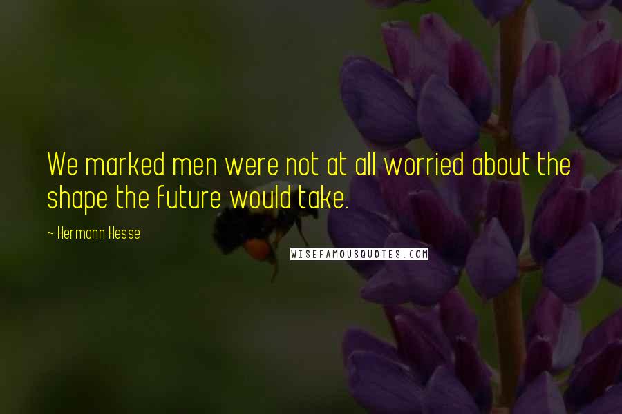 Hermann Hesse Quotes: We marked men were not at all worried about the shape the future would take.