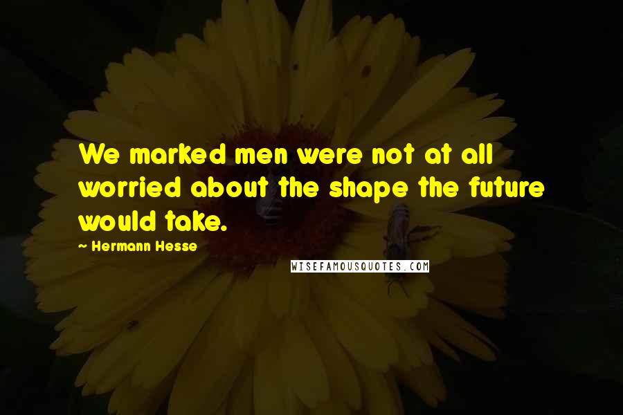 Hermann Hesse Quotes: We marked men were not at all worried about the shape the future would take.