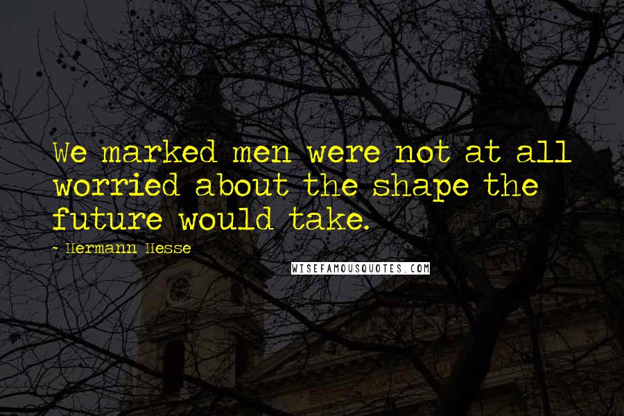 Hermann Hesse Quotes: We marked men were not at all worried about the shape the future would take.