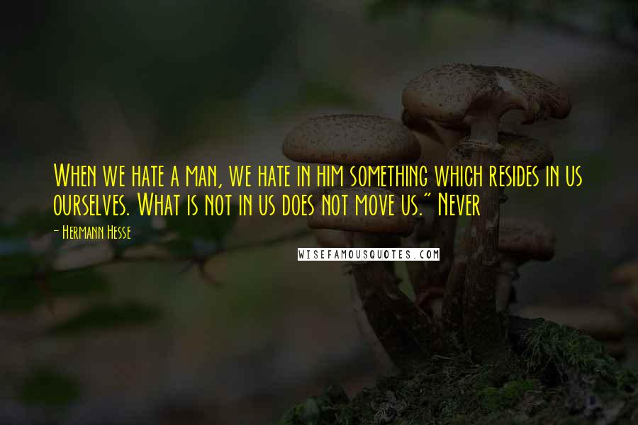 Hermann Hesse Quotes: When we hate a man, we hate in him something which resides in us ourselves. What is not in us does not move us." Never