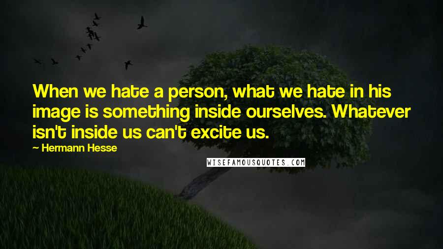 Hermann Hesse Quotes: When we hate a person, what we hate in his image is something inside ourselves. Whatever isn't inside us can't excite us.