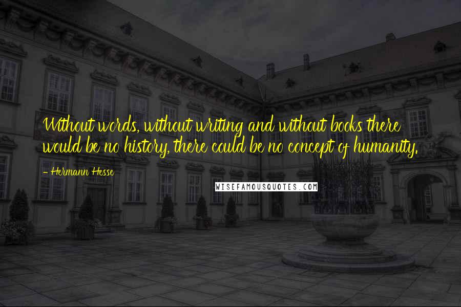 Hermann Hesse Quotes: Without words, without writing and without books there would be no history, there could be no concept of humanity.