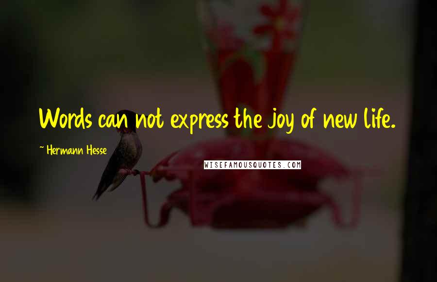 Hermann Hesse Quotes: Words can not express the joy of new life.