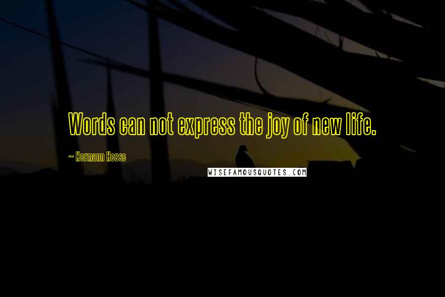 Hermann Hesse Quotes: Words can not express the joy of new life.