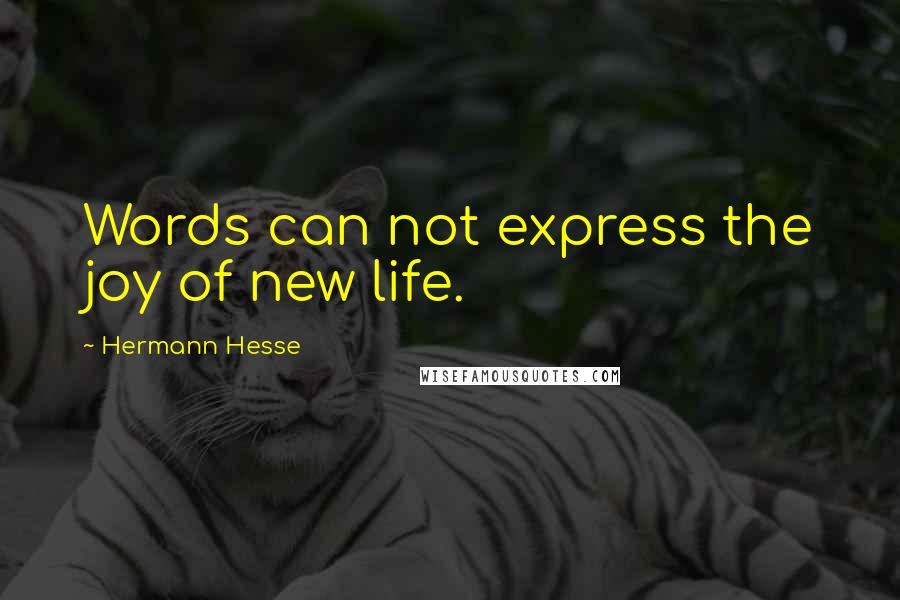 Hermann Hesse Quotes: Words can not express the joy of new life.